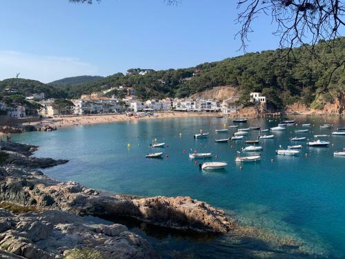Apartament Can Pitu Just 120m Far From The Beach