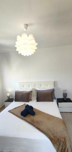 Triplex 8 Islas