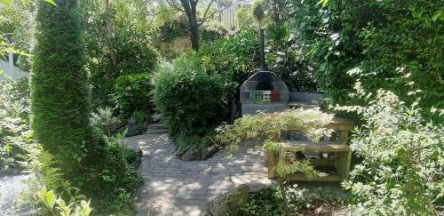 Cozy Carbence Cottage