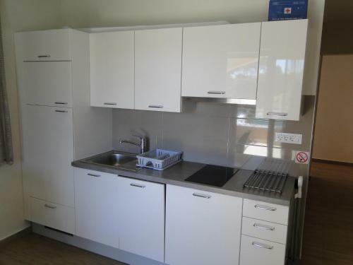 Apartment Aurea