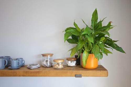 Apartamento Pebbles King Studio, Carbis Bay