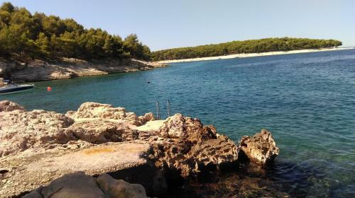 Apartman Jasa
