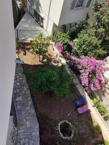 Apartman Jasa