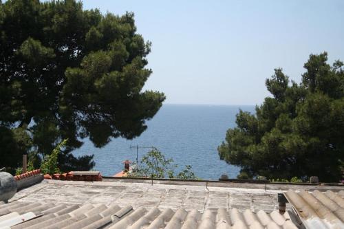 Apartments By The Sea Bilo, Primosten - 3090