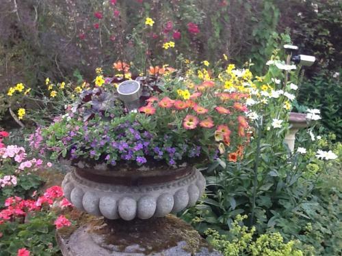 Bed & Breakfast Swan Cottage