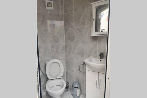Spacious Home Free Bus To Heathrow Airport T5