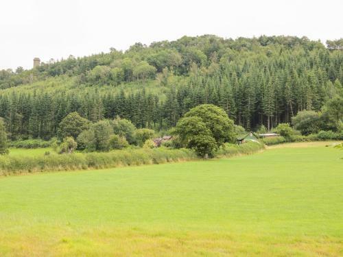 Callow Fold