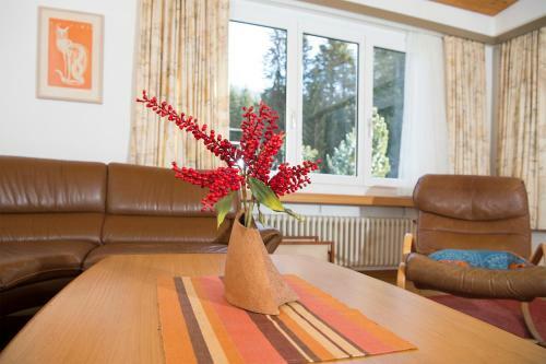 Apartamento Mistaila