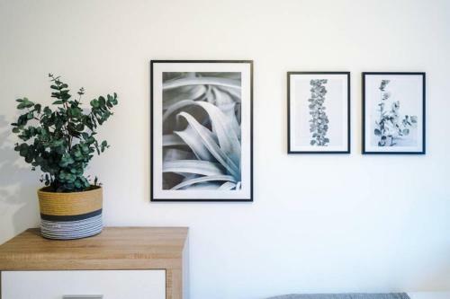 Paladine Place Serviced Apartment Coventry