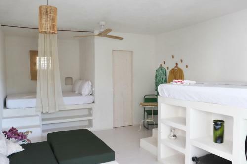 Albergue La Pandilla Ibiza