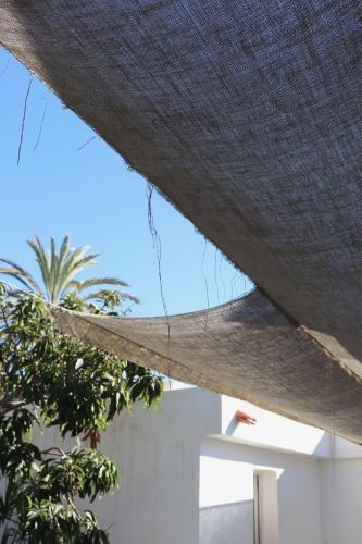 Albergue La Pandilla Ibiza