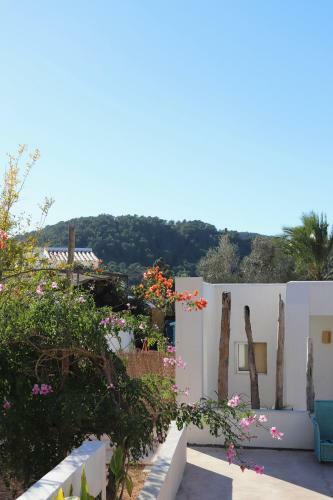 Albergue La Pandilla Ibiza