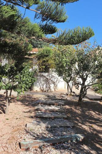 Albergue La Pandilla Ibiza