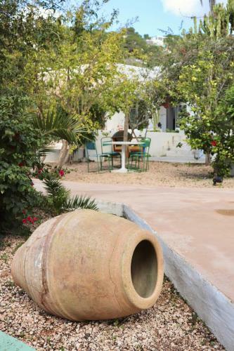 Albergue La Pandilla Ibiza