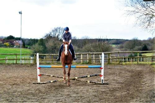 Apartamento Hillfields Farm Barn - A Rural Equestrian Escape
