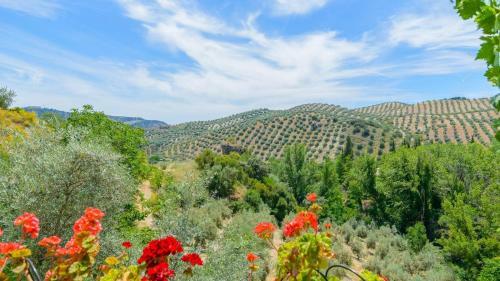 Casa El Tajil Algarinejo By Ruralidays