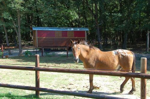 Bed & Breakfast Ranch De Boujac