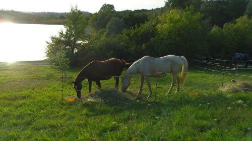 Bed & Breakfast Ranch De Boujac