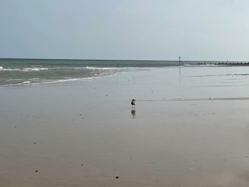 The Beach House - Cromer