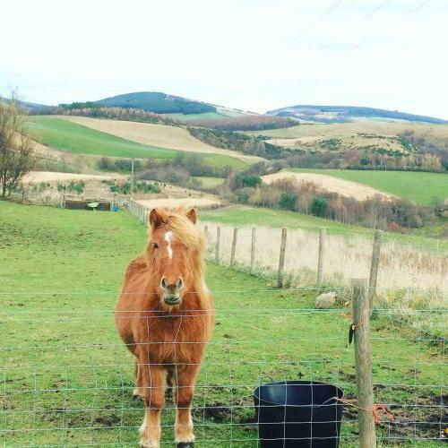 Lettoch Farm Holiday Home