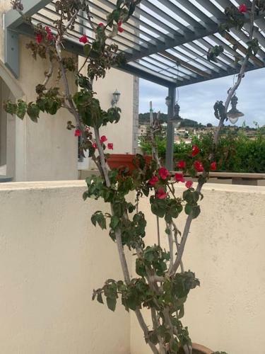 Apartamento Villa 1853, Spetses Ground Floor