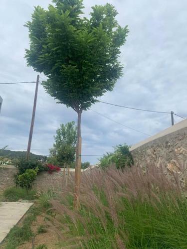 Apartamento Villa 1853, Spetses Ground Floor
