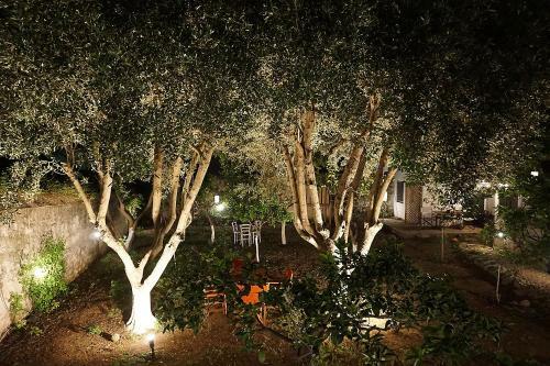 Agroturismo Two Olive Trees
