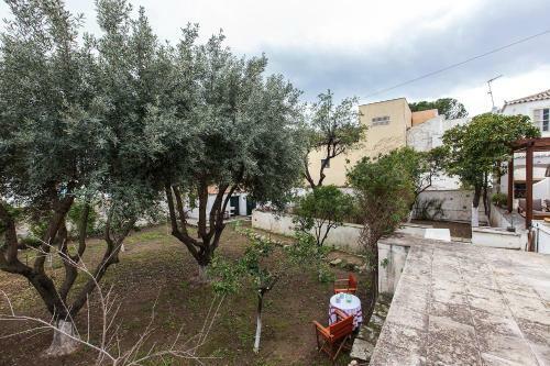 Agroturismo Two Olive Trees