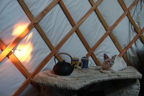 Clachamish Yurt