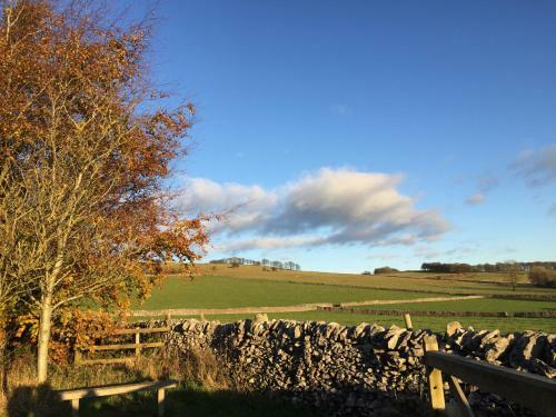 Rowan Tree Cottage