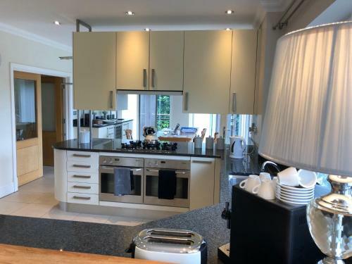 The Mirror Suite, Burway House On The River Thames