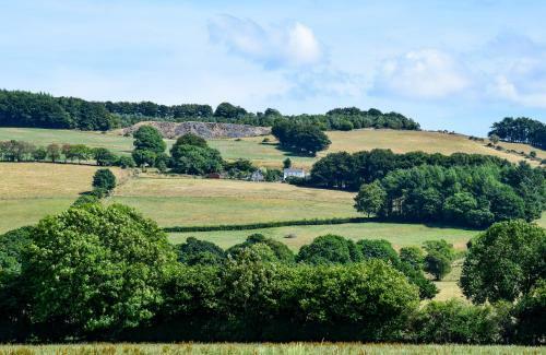 Coedmor Cottages