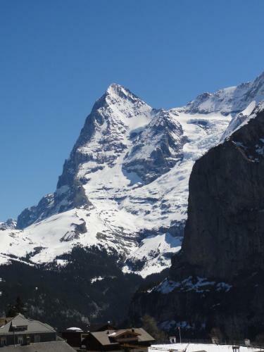 Apartamento Chalet Sch�nb�hl