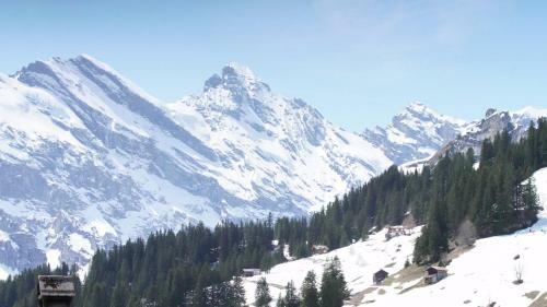 Hotel Sportchalet M�rren