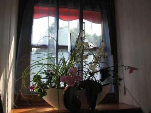 Bed & Breakfast Le Pas De L'ane