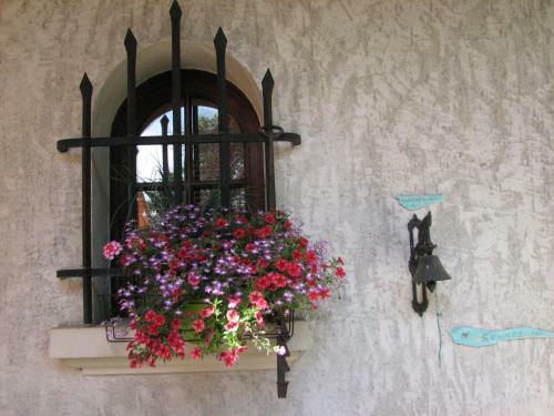 Bed & Breakfast Le Pas De L'ane