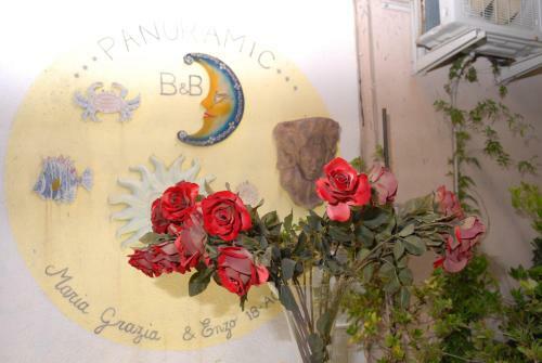 Bed & Breakfast Panoramic
