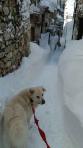 Bed & Breakfast La Pret�ra