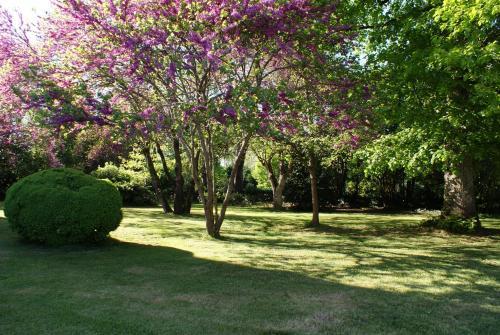 Bed & Breakfast Ch�teau De Grenier