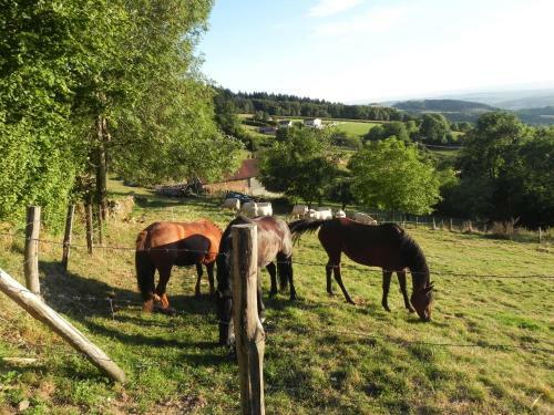 Hostal Ferme Des Entremains