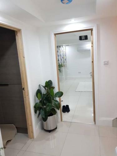Bed & Breakfast Panavos Properties