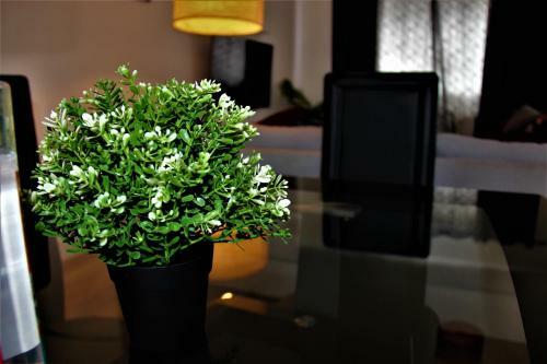 Apartamento Roomstayer
