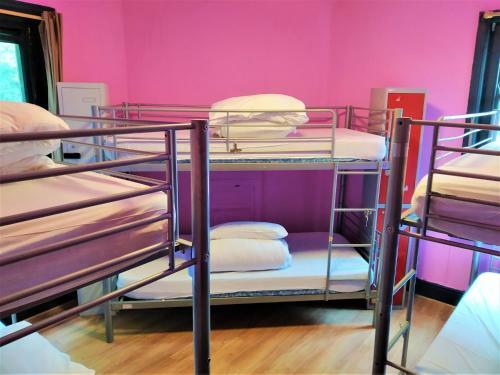 The Phoenix Hostel