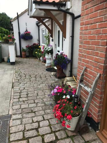 Acorn Cottage