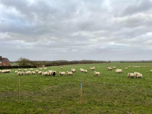 The Shepherds Retreat - Luxury Shepherds Hut
