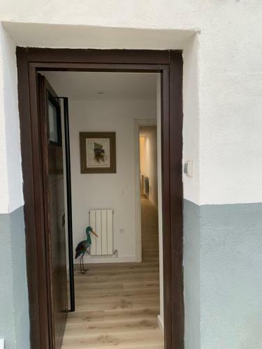 Apartamento D�plex Dels Estudis
