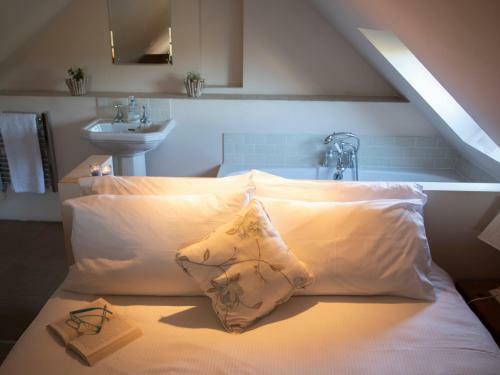 Plas Bach