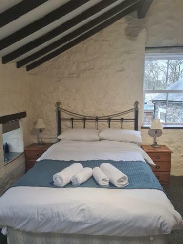 Rowan Cottage In Rhayader Over Looking The Red Kite Feeding Centre