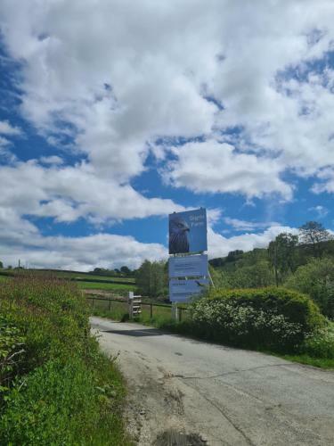Rowan Cottage In Rhayader Over Looking The Red Kite Feeding Centre