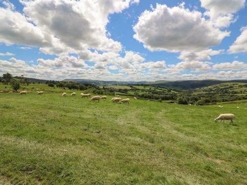 Marches Way